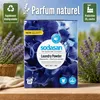 Lessive couleur lavande 1,01 kg, lessive en poudre, lavande Voir les images du produit 2