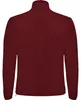 Roly SM1195 | Herren Luciane Microfleece Jacket - Farbe: Produktbild-Vorschau 2