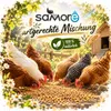 25 kg Hühnerfutter Geflügelfutter Körnerfutter GVO frei Produktbild-Vorschau 4