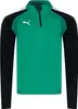 Puma Teamliga Ziptop Herren - Grün Produktbild-Vorschau 3