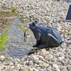 CLGarden Solar Wasserspeier Frosch NSP9 Springbrunnen für Produktbild-Vorschau 2