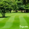 Vertikutier-Mix - Grassamen - Dünger - Produktbild-Vorschau 5