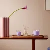 Bolsius Duftkerze True Scents Apfel-Zimt 8 cm im Glas Produktbild-Vorschau 2