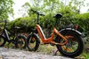 20 *4.0" 48V Fetter Reifen E-Bike Klappräder ,48V 18Ah E Produktbild-Vorschau 5