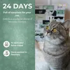 BOXILAND® mačací adventný kalendár 2026, 24 snackov, Náhľad obrázku produktu 2