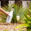 Pure Zero Sugar Schaumwein Weiss Produktbild-Vorschau 6