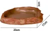 Terrario Natural Bowl – Terrarium-Schale 20x17x3 cm Produktbild-Vorschau 2