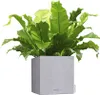 Lechuza Canto Stone plastový květináč 30x30x30 cm šedý Náhled obrázku produktu 2