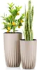 HowHomely | Bac à plantes, Set de 2 pots de fleurs, Pot de Voir les images du produit 1