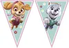 Paw Patrol Skye - Kindergeburtstags-Set (68-teilig) Teller Produktbild-Vorschau 6