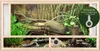Repiterra® Terrarium Frontbelüftung Holzterrarium OSB Holz Produktbild-Vorschau 2