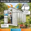 BRAST Gewächshaus Aluminium mit Fundament | 310x190x195cm | Produktbild-Vorschau 7