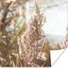 MuchoWow® Poster Schilf - Sonne - Pflanze 100x100 cm - Produktbild-Vorschau 1