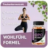 Asbirg Schwarzkümmelöl + OPC + Herbal Gummies Bundle – Produktbild-Vorschau 7