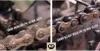 A split image showing a motorcycle chain after 30 minutes of riding, comparing the effectiveness of two different lubricants. Produktbild-Vorschau