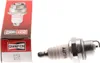 Zapalovací Svíčky Champion Cch859 Náhled obrázku produktu 2