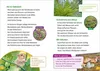 WAS IST WAS Erstes Lesen Band 6. Wald Produktbild-Vorschau 5