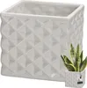 A white ceramic planter with a geometric pattern is shown, with a smaller version of the planter containing a snake plant in the lower right corner. Produktbild-Vorschau
