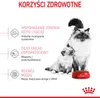 Marketing image showing two cats (adult and kitten) next to a food bowl, with text highlighting health benefits. Produktbild-Vorschau