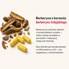 Medical Pharma Berberine HCl 60 kapsułek Podgląd zdjęcia produktu 2