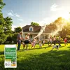 Graines de gazon avec micro-trèfle Pipolina, 10 kg pour 400 Voir les images du produit 7