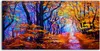 Coloray - Glasbild - 120x60 cm - Wandbild - Glasbilder - Produktbild-Vorschau 1