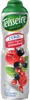 Teisseire Sirup 6 x 600ml Sparpack - verschiedene Sorten - Produktbild-Vorschau 2