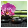 Leinwandbild blühende orchidee auf schwarzen steinen 60x60 Produktbild-Vorschau 3