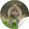 MuchoWow® Produktbild-Vorschau 1