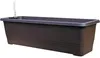 Truhlík samozavlažovací BERGAMOT plastový 50x20x17cm Náhled obrázku produktu 2