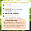 Florfliegenlarven gegen Blattläuse, Spinnmilben, Thripse & Produktbild-Vorschau 2