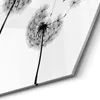 DEQORI Glasbild Echtglas 40x35 cm 'Schwarze Pusteblumen' Produktbild-Vorschau 4