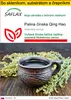 SAFLAX Kultivačný set - Palina čínska Qing Hao - Artemisia Náhľad obrázku produktu 1