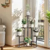 A multi-tiered plant stand with various potted plants is placed in a well-lit room near a window. Náhľad obrázku produktu