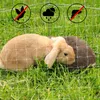 lionto Katzenschutznetz, reißfestes & UV-beständiges Produktbild-Vorschau 4