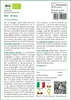 SAFLAX  -- Ortica - 2000 semi - Urtica Anteprima dell’immagine prodotto 3