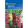 Kiepenkerl Stockrosensamen Mischung Produktbild-Vorschau 1