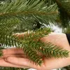 Choinka bożonarodzeniowa Świerk Premium naturalny 220 cm Podgląd zdjęcia produktu 13