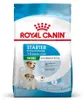 ROYAL CANIN SHN Mini Starter Mother & Babydog - sucha karma Podgląd zdjęcia produktu 3