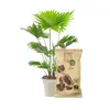 Dr.Soil Lave volcanique en sachets de 1 litre Voir les images du produit 3