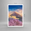 Poster - Poster ohne Rahmen - Fuji Blume Kirsche - 70x100 Produktbild-Vorschau 4