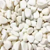 Marmorkies Schneeweiß 15-25 mm 25 kg Produktbild-Vorschau 2