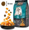 A bag of Leonardo Adult Fish cat food is shown with kibble and salmon pieces spilling out into a bowl. Produktbild-Vorschau