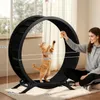COMHOMA, roue d'exercice pour chat, très grande (100 cm), Voir les images du produit 7