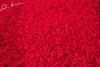 LK Baits peletky Fluoro Pellets Walderdbeere 1kg 04150508 Produktbild-Vorschau 1