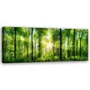 Leinwandbild sonnenschein im wald natur grün 150x50 cm Produktbild-Vorschau 1