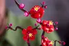 Lego 10369 LEGO Pflaumenblüte Productafbeelding-voorbeeld 19