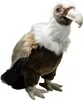Carl Dick Vautour env. 27cm Peluche, animal en peluche, Voir les images du produit 1