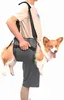 Hundetragegurt, Notfallrucksack Unterstützung für Produktbild-Vorschau 1