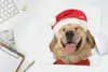 MuchoWow® Mauspad Mousepad Hund - Lustig - Lachen - Kinder Produktbild-Vorschau 5